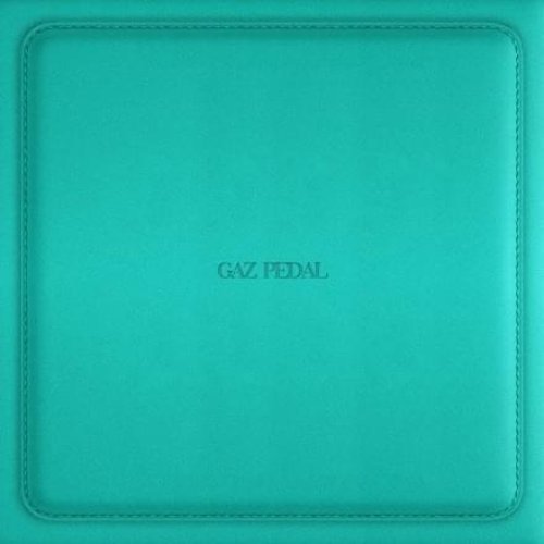 GAZ PEDAL