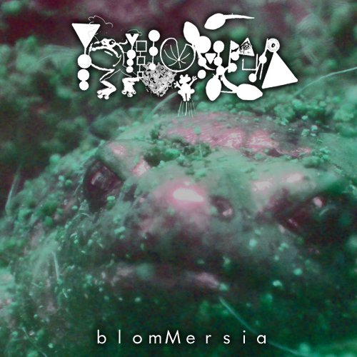 Blommersia