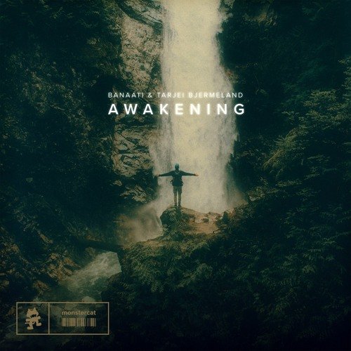 Awakening - Single