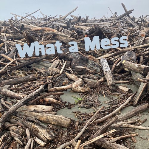 What a Mess