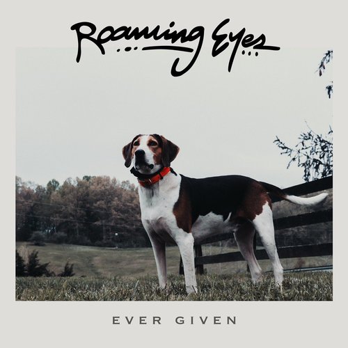 Ever Given