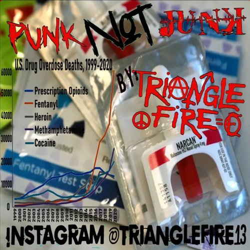 Punk Not Junk (2023 UnMastered)