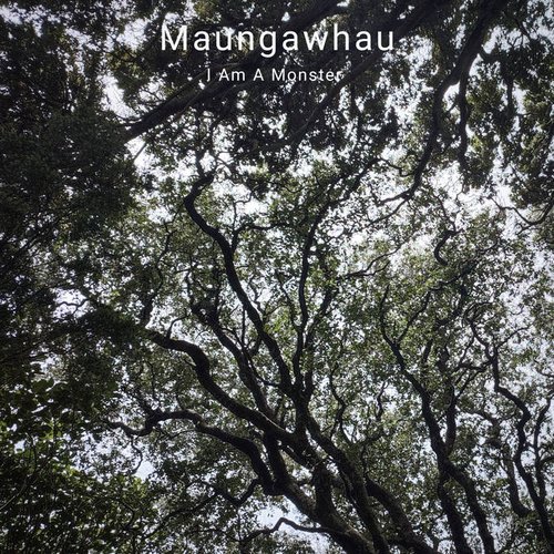 Maungawhau