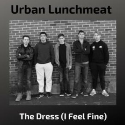 The Dress (I Feel Fine)