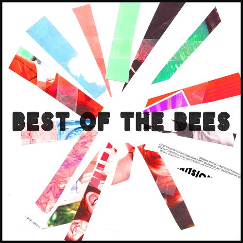 Best of the Bees