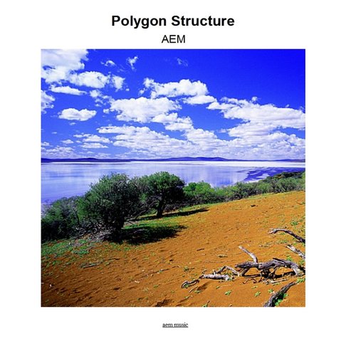 Polygon Structure