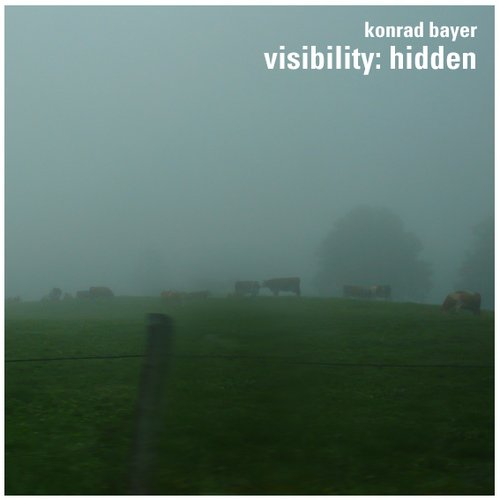 visibility:hidden