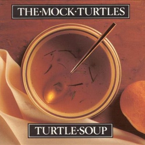 Turtle Soup