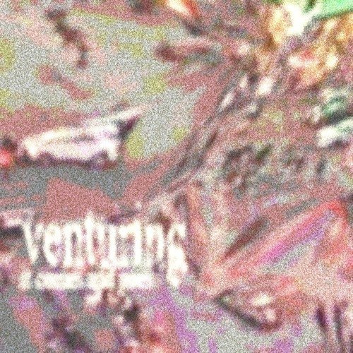 venturing