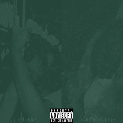 lovin on him (Remix) [Explicit]