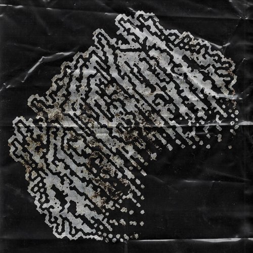 -_SPECIMEN_SEI_____(PROBE#1262011)