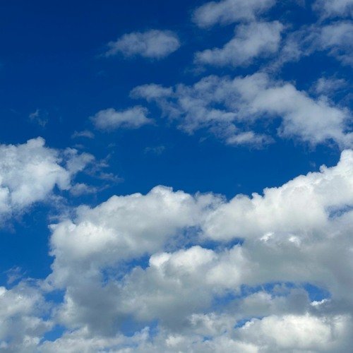 Bald Headed Boy - Single