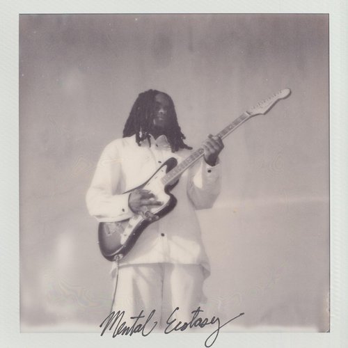 Mental Ecstasy