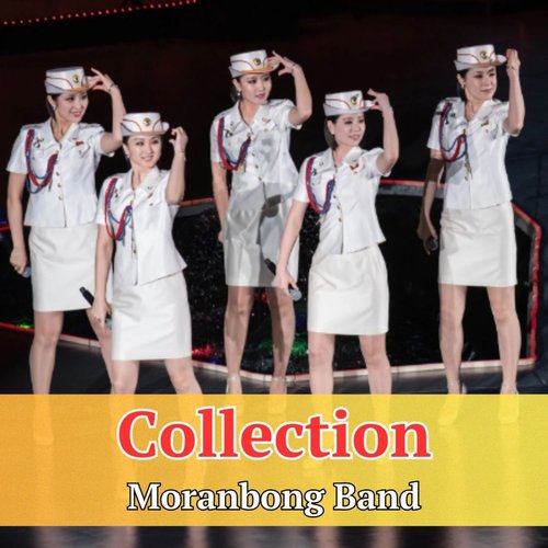 Collection
