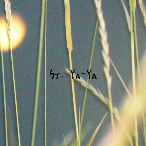 Untitled Album