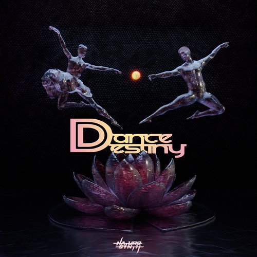 Dance Destiny