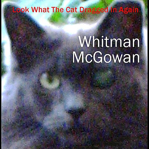 Look What the Cat Dragged in Again