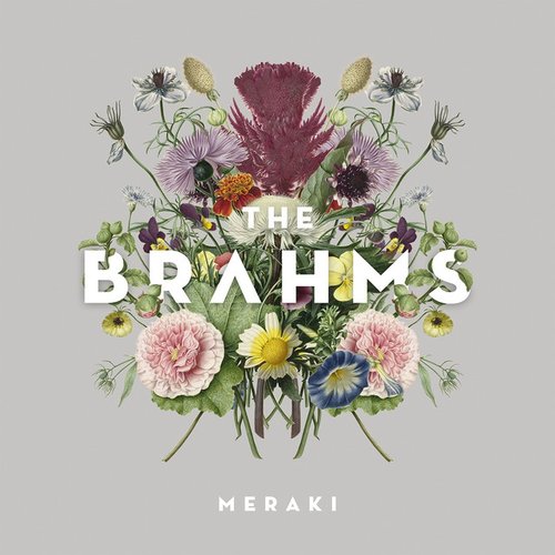 Meraki