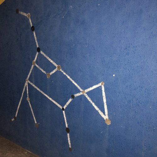 ()()()()