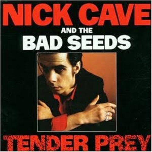 Tender Prey (2010 Remastered Version)