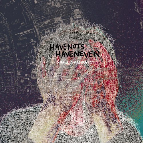 Havenots Havenever