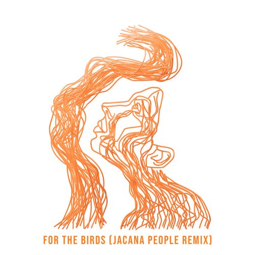 For The Birds - Jacana People Remix