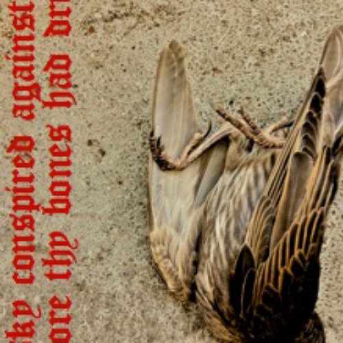 A Pregnant Light/SADOS split tape