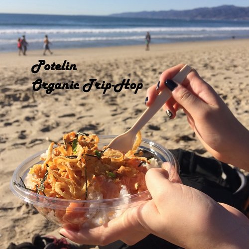 Organic Trip-Hop
