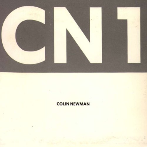 CN1