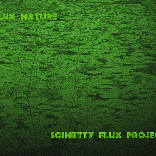 Flux Nature