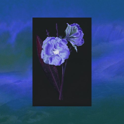 The Voice of Flowers - Single