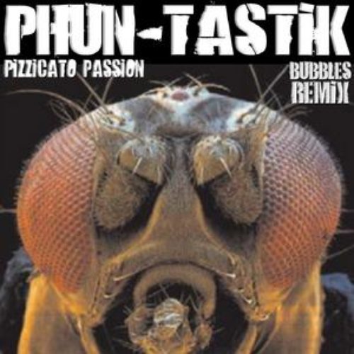 Pizzicato Passion