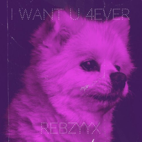 I Want U 4Ever - Single