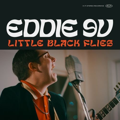 Little Black Flies