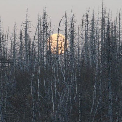 Varghall EP