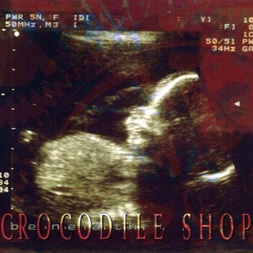 Crocodile Shop - Beneath