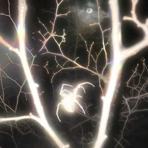 NU MOON - Single