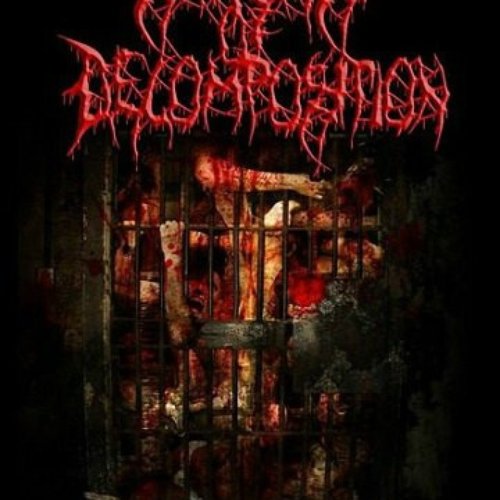 Stages of Decomposition