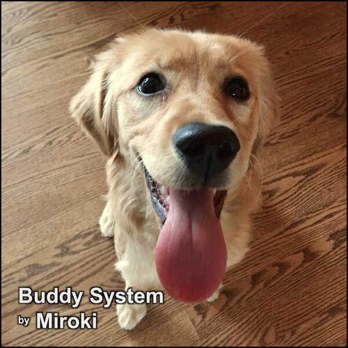 Buddy System - EP