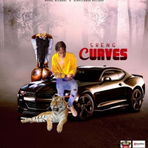 Curves