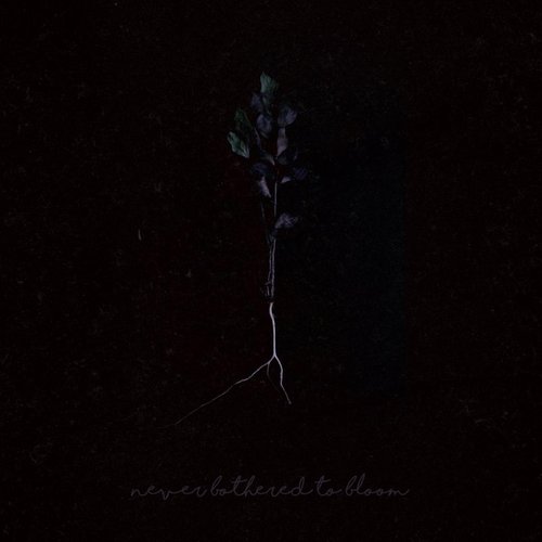 Folie à Deux - Single