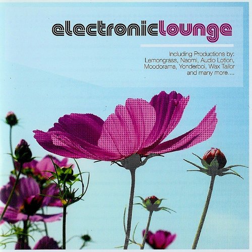 Electronic Lounge