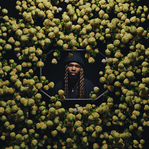 RENAISSANCE