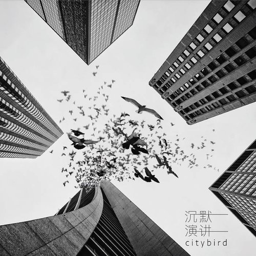 City Bird