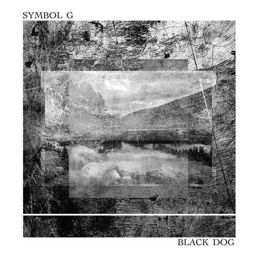 Black Dog