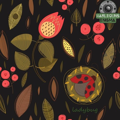 Ladybug