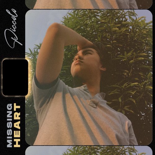 Missing Heart