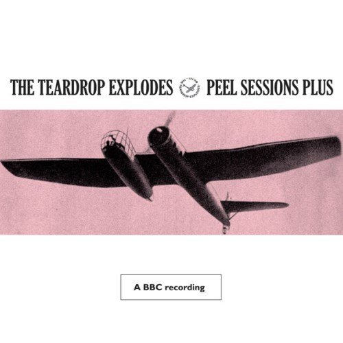 Peel Sessions Plus (BBC Version)