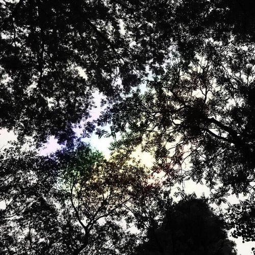 light leaks