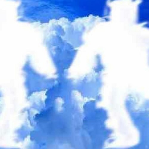 EMBRYO I (WINGS OF AN ANGEL)